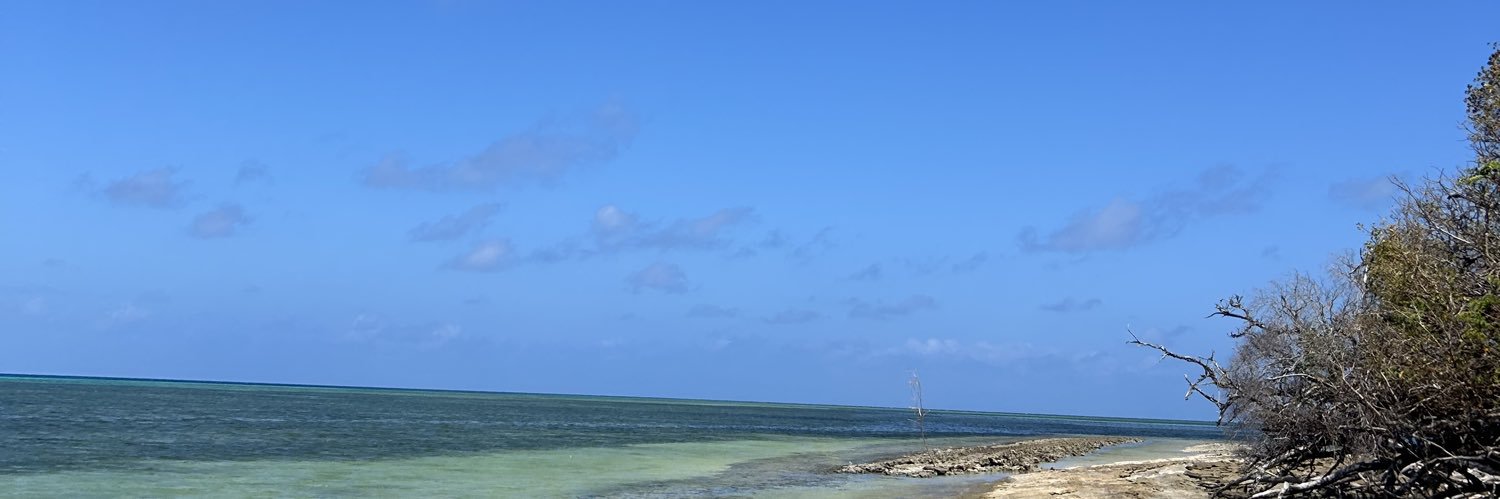 T_M_ai3's profile banner image