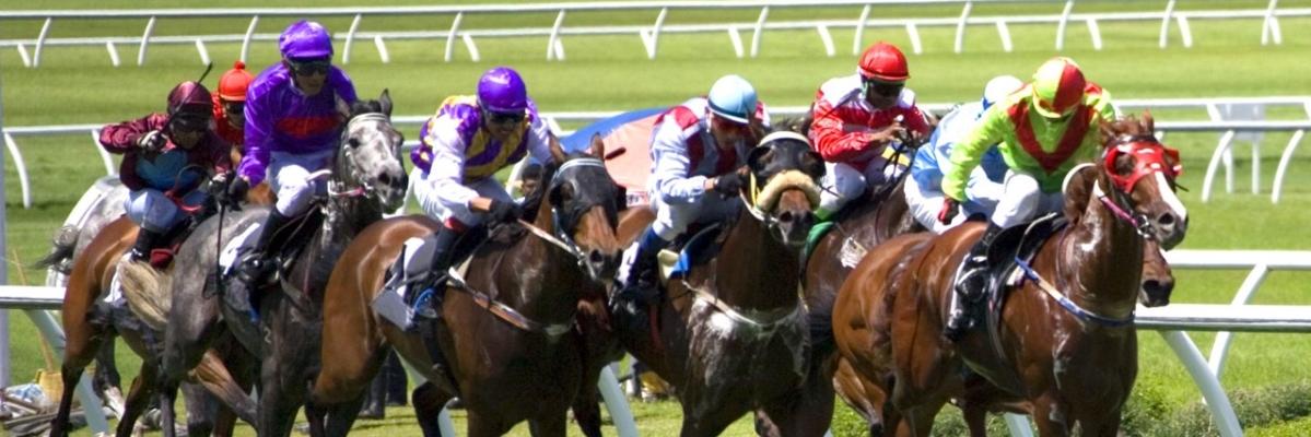 Racetracklabs's profile banner image