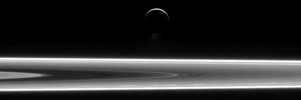 Another Bitter A's Fan banner