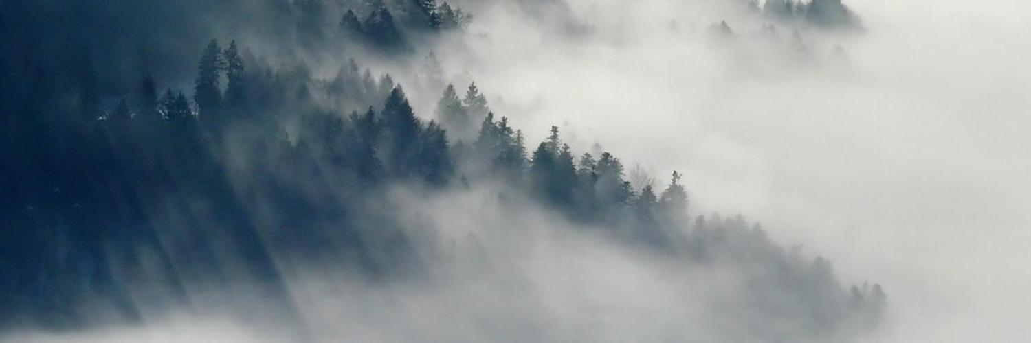 jenn__porter's profile banner image