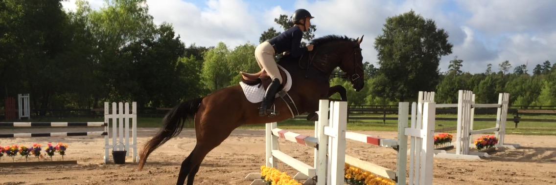 CM_ShowJumper's profile banner image