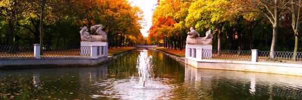 saskia_limbach Profile Banner