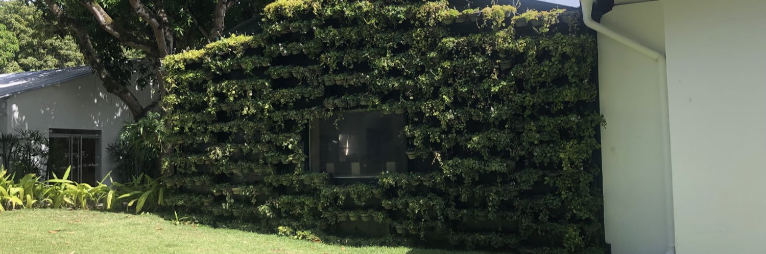 Erasmo Blanco banner