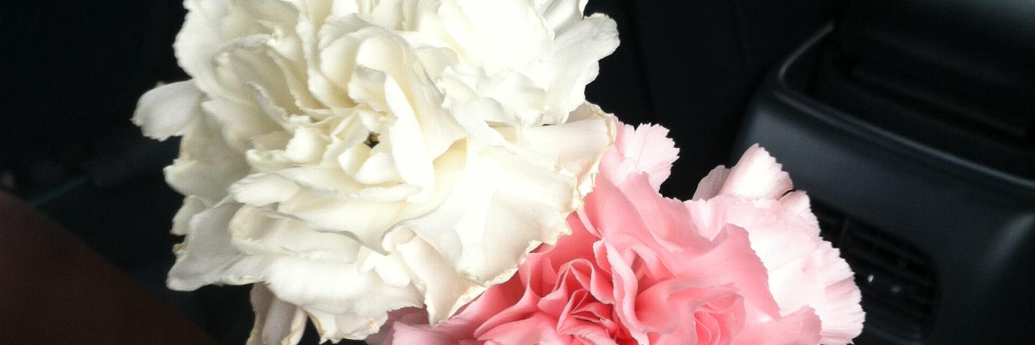 miaa_maya's profile banner image
