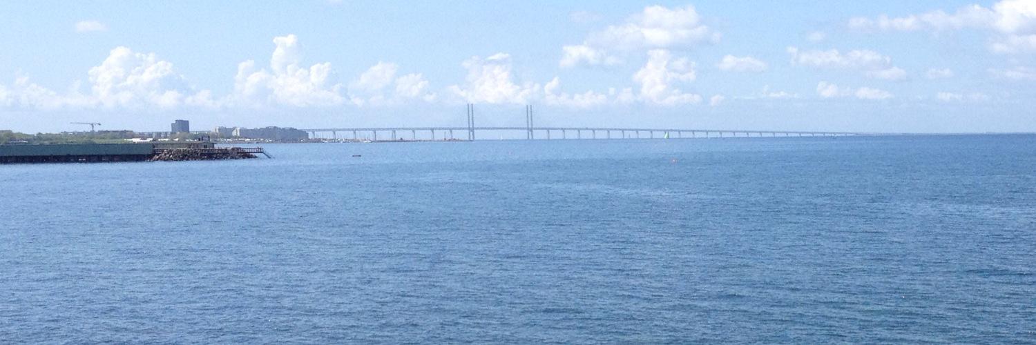 Frederic Guerrien banner