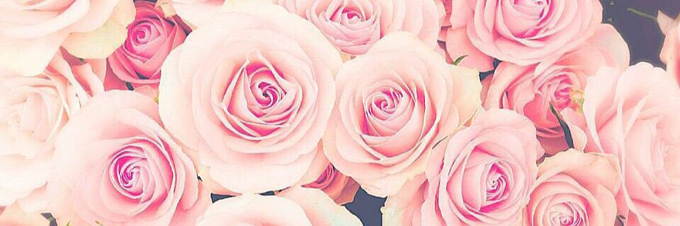 ___ssmi's profile banner image