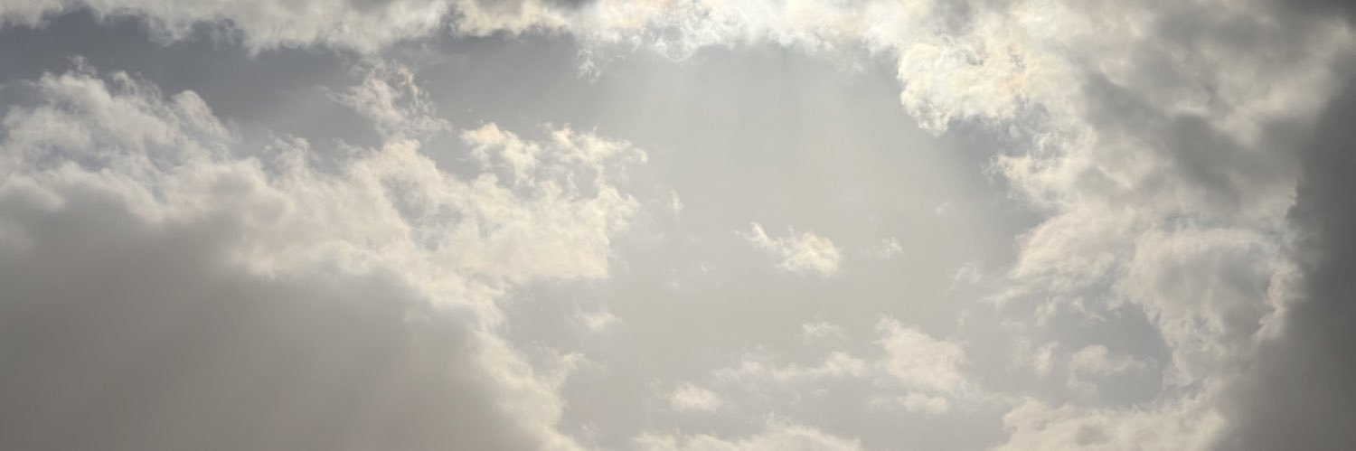 DaryaTaher1's profile banner image