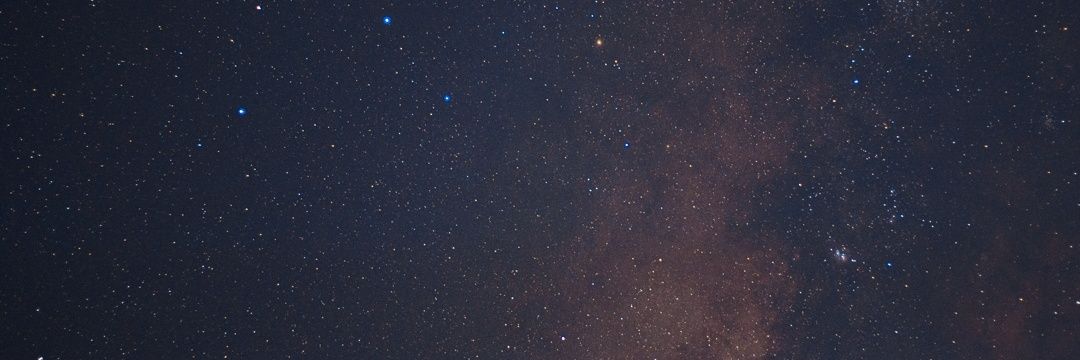 tlacuachuga's profile banner image