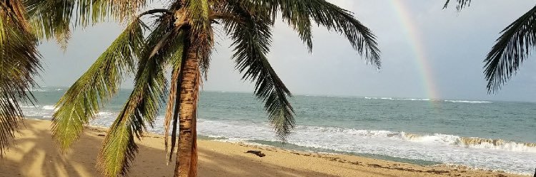 doralebron's profile banner image