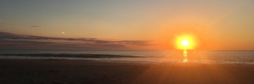 Lucie Alexandre banner