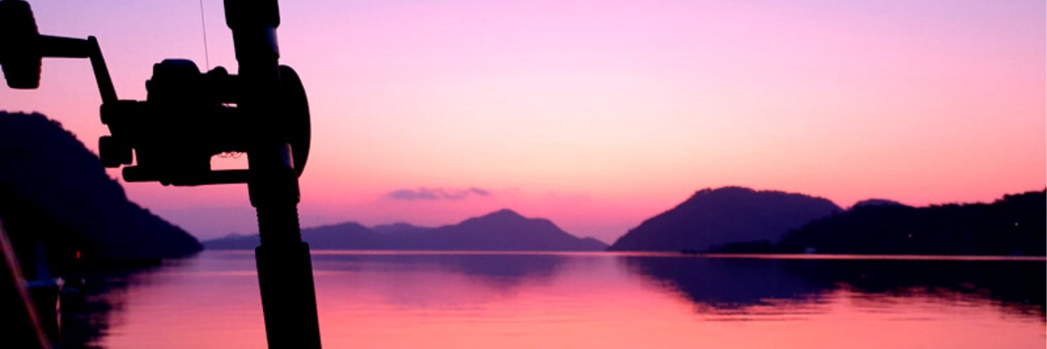 roeihaviv's profile banner image
