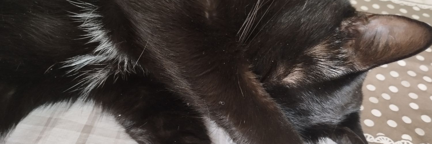 NHenriqueCC's profile banner image