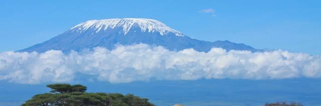 （め・ω・い）🐺 banner