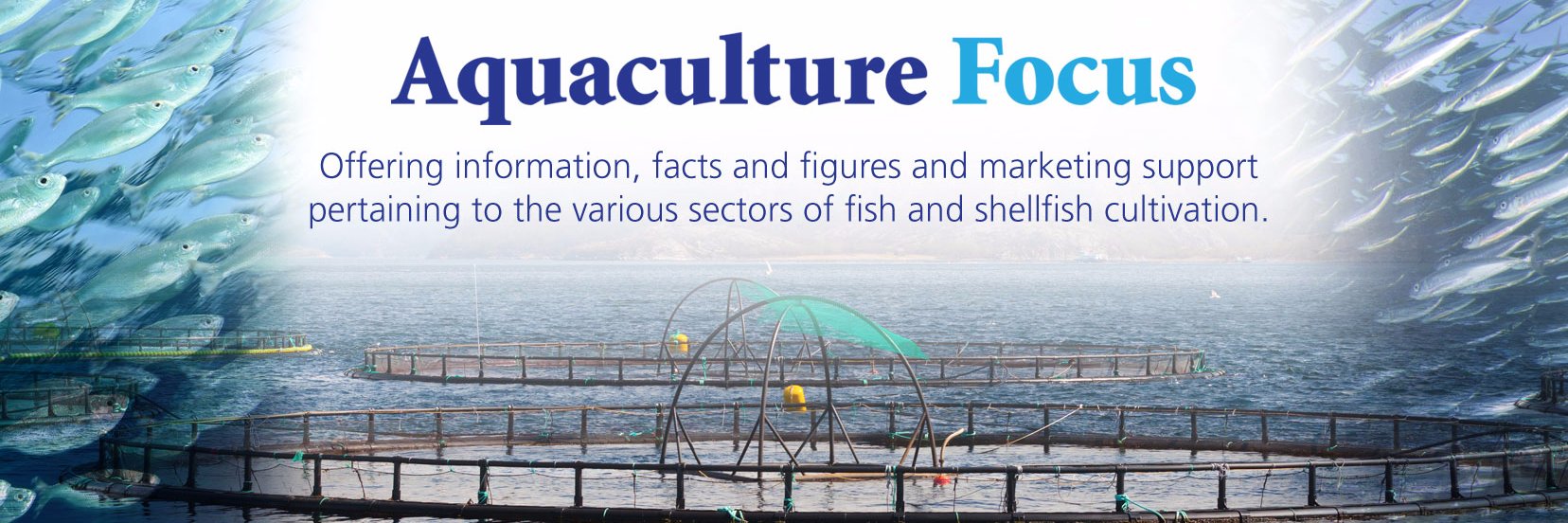 Aquaculture Focus banner