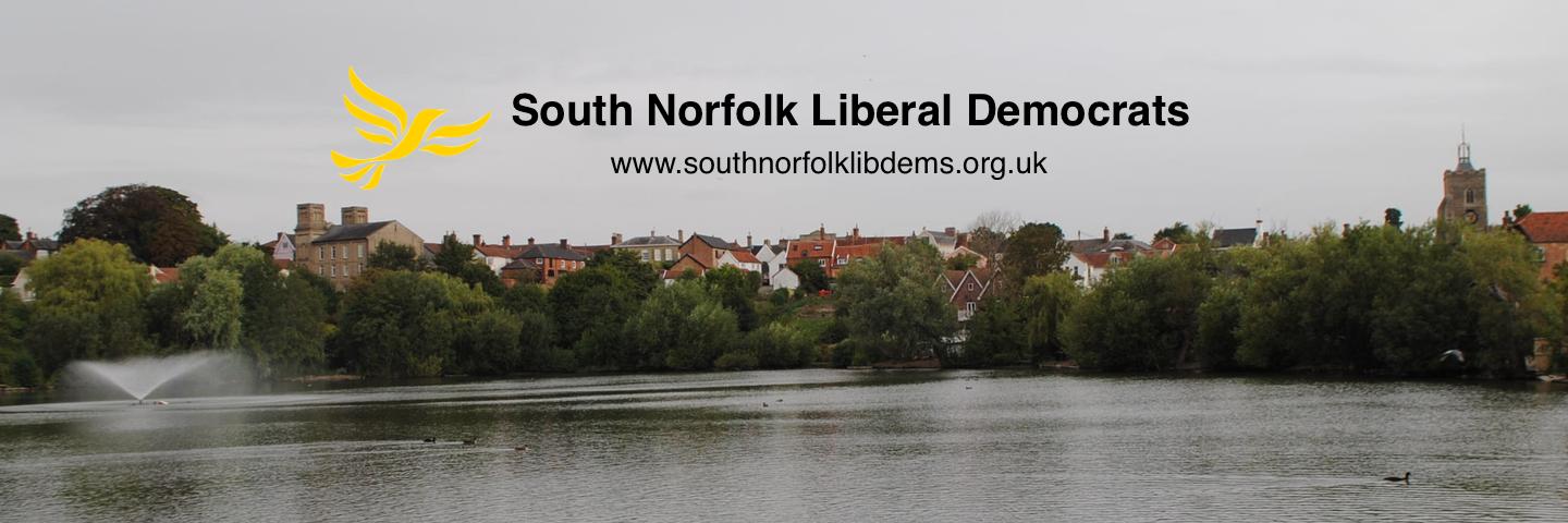 snorfolklibdems's profile banner image
