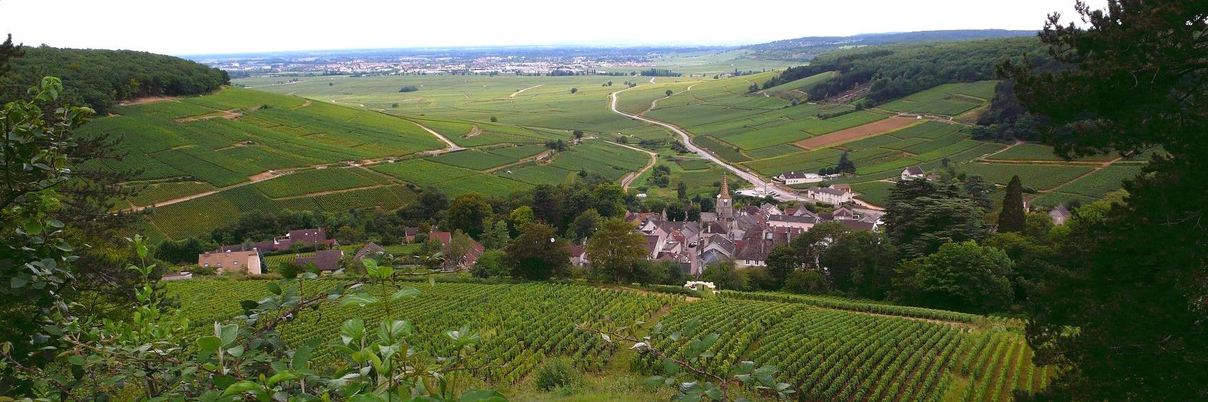 goodwinetours's profile banner image