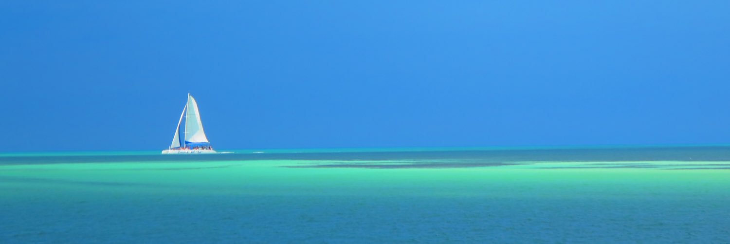 CTS3573's profile banner image