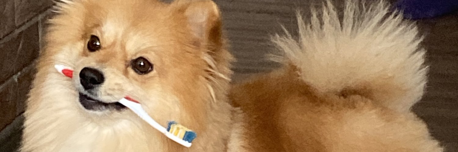 catrodyyy's profile banner image