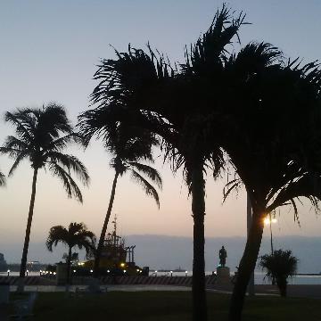 MargaUnplugged banner