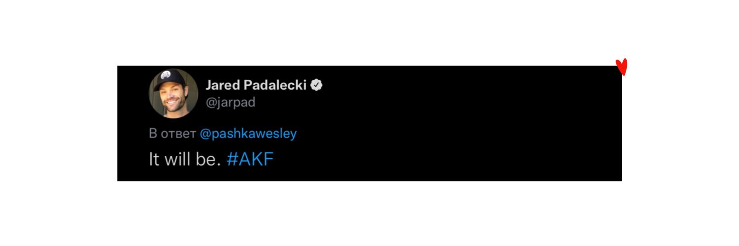 pashkawesley's profile banner image
