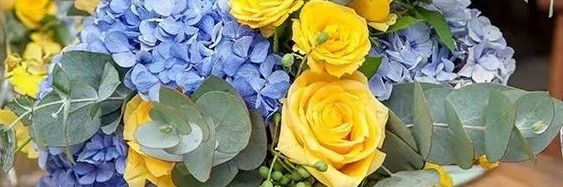 decorcomvida's profile banner image