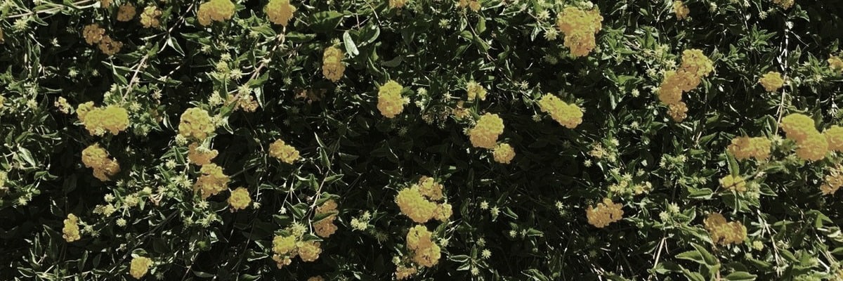 annoyinglydork's profile banner image