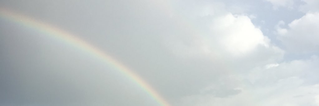 alliestaj's profile banner image