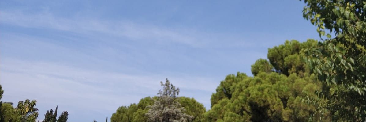 sksb25's profile banner image