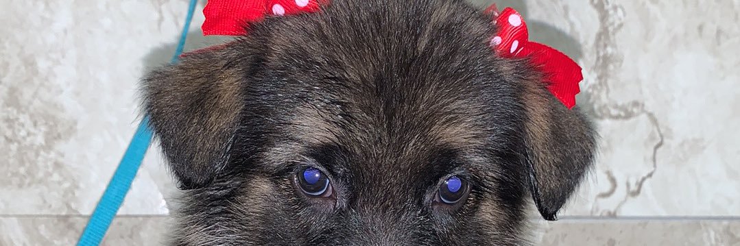 ibreen_'s profile banner image