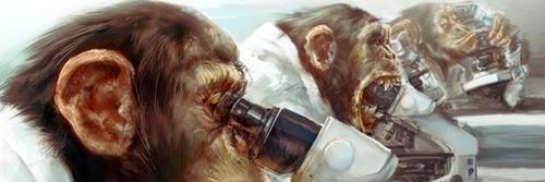 Innovation Monkey banner