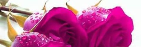 deepa_gurjar's profile banner image