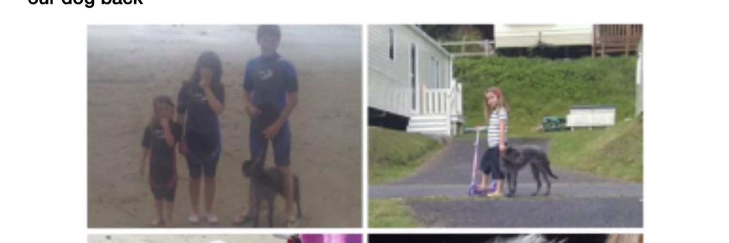 LadyStolen's profile banner image