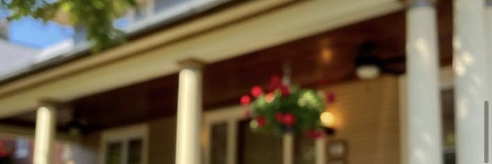 WildGeeseBookshop banner