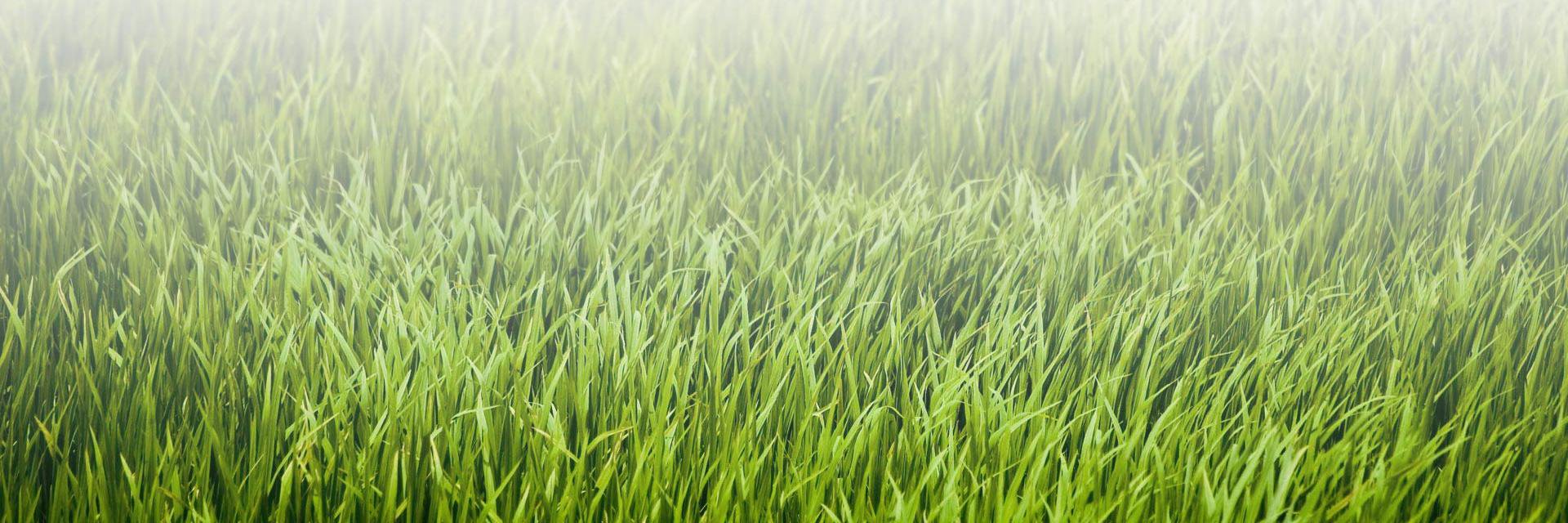 WorkOutSuplemnt's profile banner image