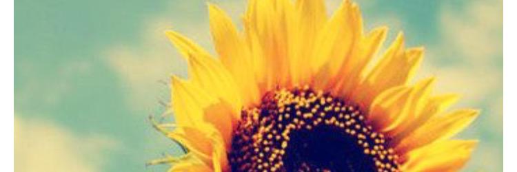 L_elkins's profile banner image