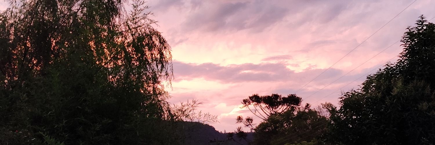 nataligessner's profile banner image
