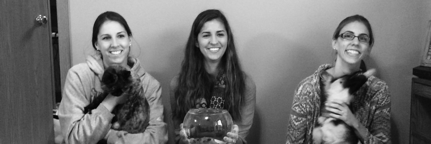 LisaLoeffler44's profile banner image