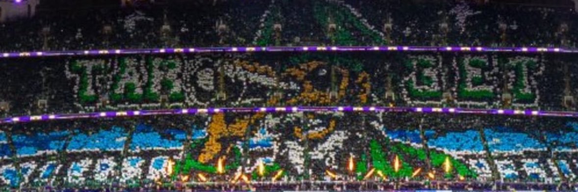 8Samerr's profile banner image