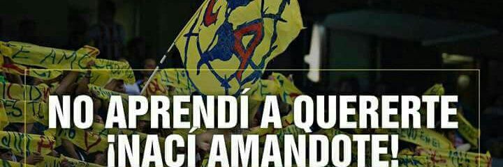 rodri banner
