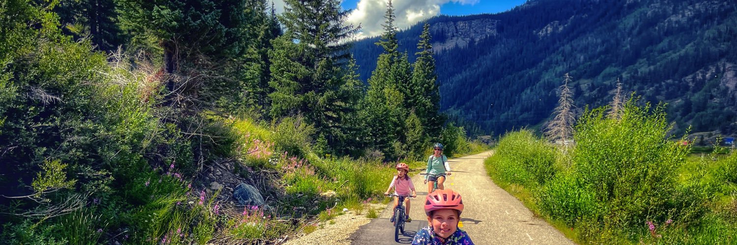 Mike Cicchetti banner