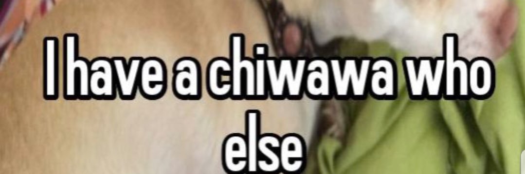 grouponlord's profile banner image