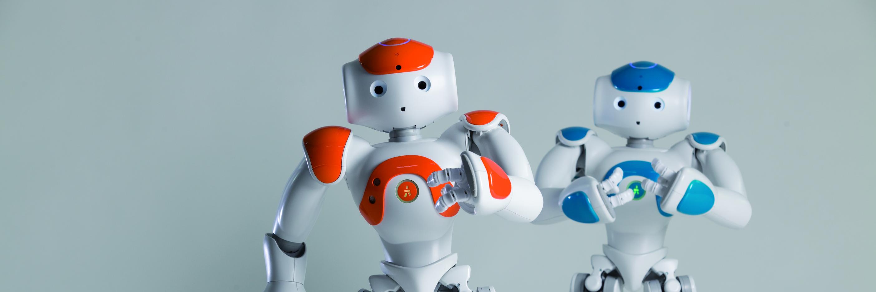 Maxime Delarche banner