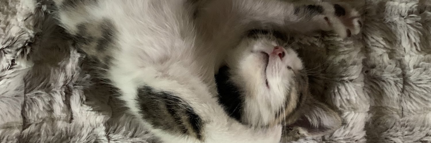 BoissonnetFanny's profile banner image