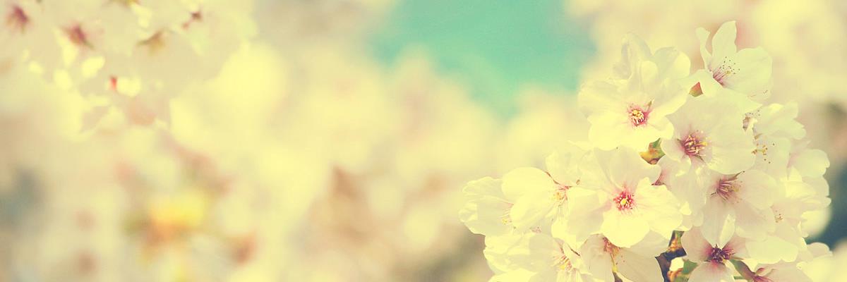 kms75939's profile banner image