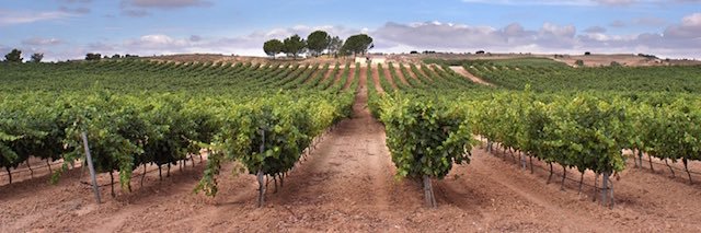josebracamonte's profile banner image