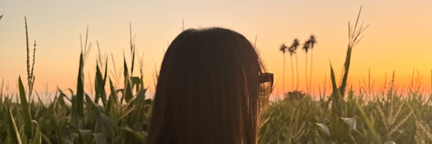 Shmictor's profile banner image