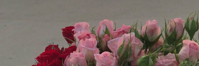 _lMShll's profile banner image