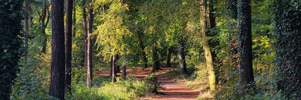 AmysFutures Profile Banner