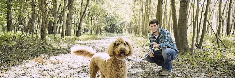 Jake33Smith's profile banner image