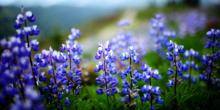 ActingNature's profile banner image